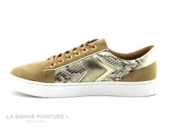 The Divine Factory QL4704 Taupe - Or Python - Sneakers Femme -Les chaussures ne mentent jamais. cd24607c73b9e66c561f35ea11d5d5ef img 3181.jpg 175451