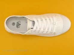 Le Temps Des Cerises BASIC 02 Dentelle Blanc - Basket Toile -Les chaussures ne mentent jamais. cd24607c73b9e66c561f35ea11d5d5ef img 4458.jpg 133871